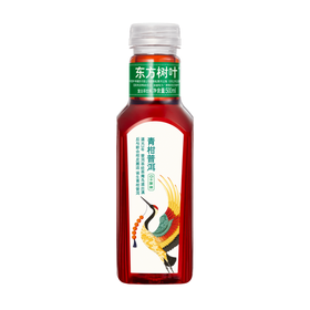 东方树叶 普洱茶 500ml